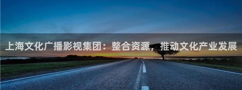 神马影院第九神院：上海文化广播影视集团：整合资源，推动文化产业发展