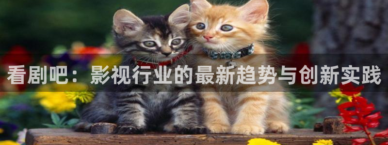 神马伦理第九影院：看剧吧：影视行业的最新趋势与创新实践