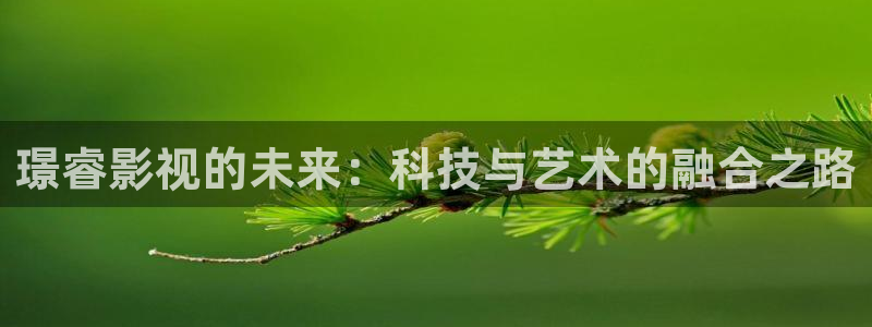 神马电影网第九影院：璟睿影视的未来：科技与艺术的融合之路