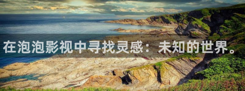 第九区电影网：在泡泡影视中寻找灵感：未知的世界。