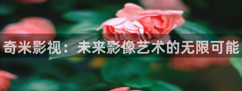 达达兔第九影院在线观看：奇米影视：未来影像艺术的无限可能