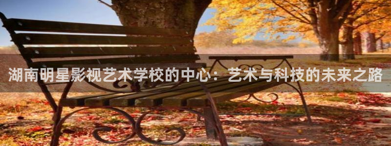 第九影院最新电影免费在线观看：湖南明星影视艺术学校的中心：艺术与科技的未来之路