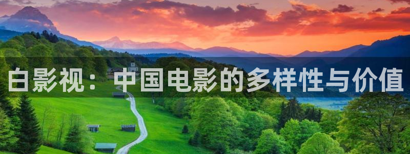 第九神马影院在线：白影视：中国电影的多样性与价值