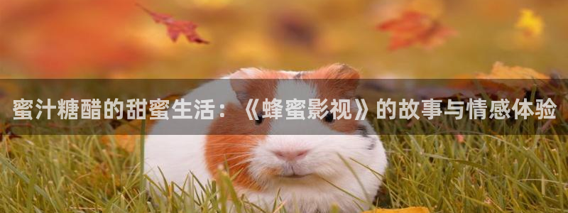 神马影院第九伦理：蜜汁糖醋的甜蜜生活：《蜂蜜影视》的故事与情感体验